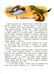 Дополнительное изображение книги «Палеонтологические каникулы»