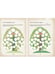 Дополнительное изображение книги «История нашей семьи, рассказанная бабушкой»