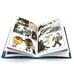 Дополнительное изображение книги «Земля Королей. Кн. 1 Трефовый том комикс»