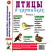 Дополнительное изображение книги «Птицы в картинках. Вып. 1. Наглядное пособие для педагогов, логопедов, воспитателей и родителей»