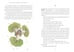 Дополнительное изображение книги «The little prince (Antoine de Saint-Exupery) Маленький Принц (Антуан де Сент-Экзюпери) /Книги на английском языке»