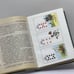 Дополнительное изображение книги «Уроки предсказания с Марией Ленорман»