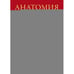 Обложка книги «Анатомия человека атлас» — Анастази Джузеппе;Гаудио Эудженио;Таккетти Карло, ISBN 9785222403716