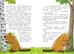 Дополнительное изображение книги «Енот против потопа»
