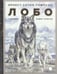 Обложка книги «Лобо» — Сетон-Томпсон Эрнест, ISBN 9785950043055