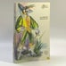 Обложка книги «Капитан Фракасс» — Теофил Готье, ISBN 9785858440239