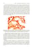 Дополнительное изображение книги «Pathological Anatomy = Патологическая анатомия: textbook. (книга на англ. яз)»