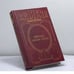 Обложка книги «Ричард Львиное Сердце. Поющий король» — А. Сегень, ISBN 9785170225927