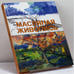 Обложка книги «Масляная живопись для начинающих» — Франсиско Асенсио Сервер, ISBN 9785170237371
