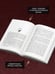 Дополнительное изображение книги «Царь Скорбь»