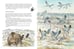 Дополнительное изображение книги «Жизнь медвежонка от зимы до зимы: рассказ  картинках»