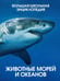 Дополнительное изображение книги «Животные морей и океанов. Большая школьная энциклопедия»