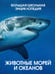 Обложка книги «Животные морей и океанов. Большая школьная энциклопедия» — Балле Кристин, ISBN 9785389279421