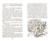 Дополнительное изображение книги «Смерти нет!»