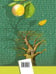 Дополнительное изображение книги «Биология. 6 класс. Рабочая тетрадь №2. ФГОС»