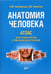 Обложка книги «Анатомия человека. Атлас для стоматологов, стоматологов-ортопедов. Учебное пособие. Гриф МО РФ» — Никитюк Дмитрий Борисович, Литвиненко Лидия Михайловна, ISBN 9785423502300