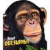 Обложка книги «Умные обезьяны!», ISBN 9785995116912
