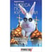 Обложка книги «Чудеса под куполами» — Угланов Андрей, ISBN 9785990575646