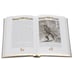 Дополнительное изображение книги «Падение лорда Бэрримора»
