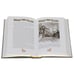 Дополнительное изображение книги «Центурион»