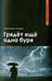 Обложка книги «Грядет еще одна буря» — Шоджаи Сейед Мехди, ISBN 9785906016683