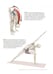 Дополнительное изображение книги «Анатомия виньяса-флоу и асан, выполняемых стоя»