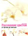 Обложка книги «Рисование цветов от бутона до листьев» — Пипер Анне, ISBN 9789851528321