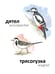 Дополнительное изображение книги «Птицы»
